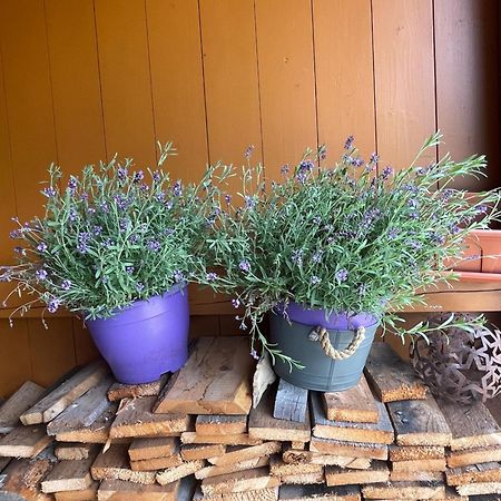 Chalet Yulia Zell am See Dış mekan fotoğraf