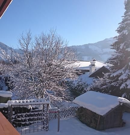 Chalet Yulia Zell am See Dış mekan fotoğraf