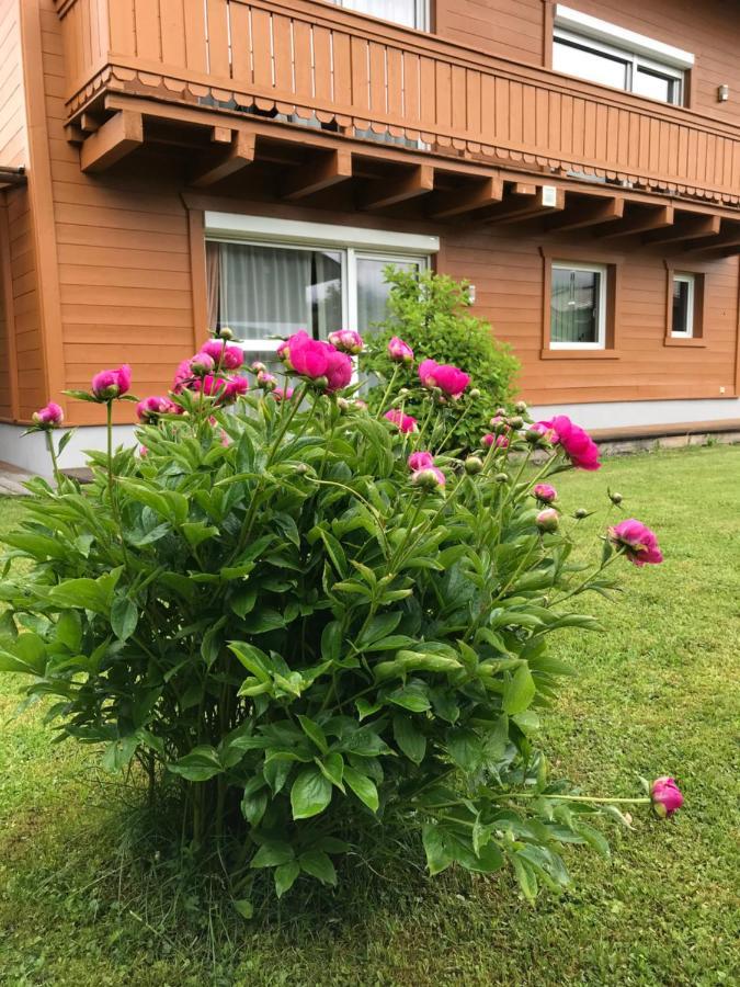 Chalet Yulia Zell am See Dış mekan fotoğraf