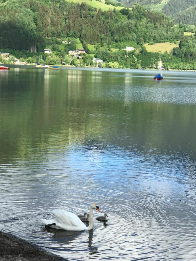 Chalet Yulia Zell am See Dış mekan fotoğraf